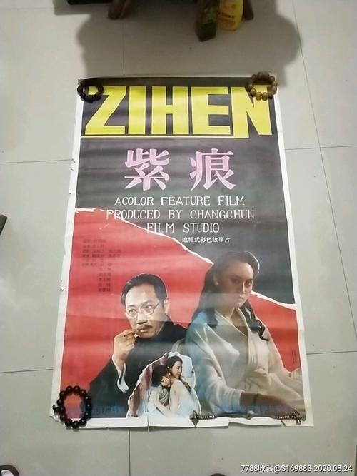 巴黎第三大学会计文凭证书